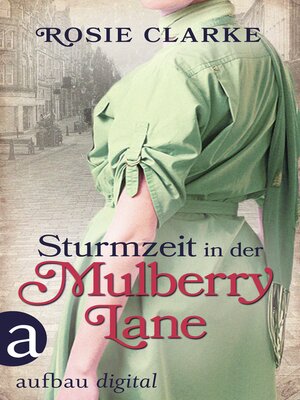 cover image of Sturmzeit in der Mulberry Lane